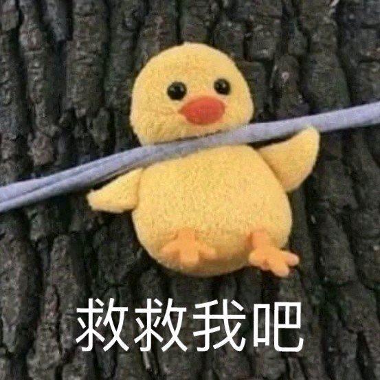 羊🍏.（招财版）
