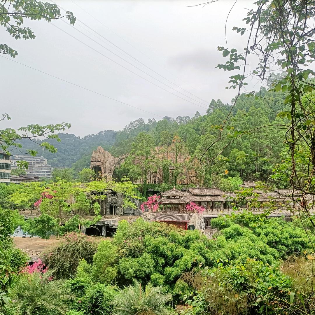 可惜没如果