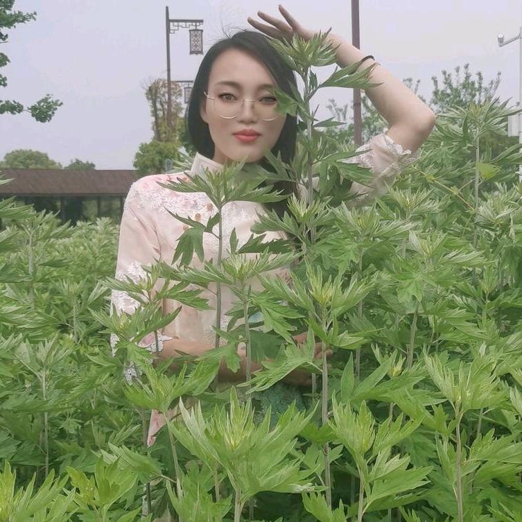 湖北蕲工坊蕲艾科技有限公司
