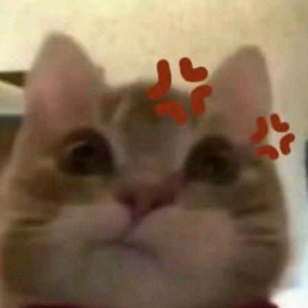陆然然