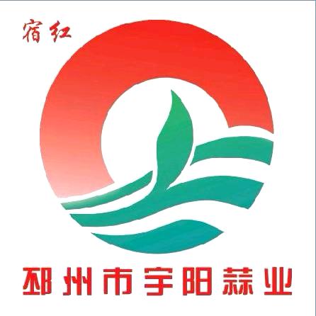 邳州蒜【宇阳商贸】