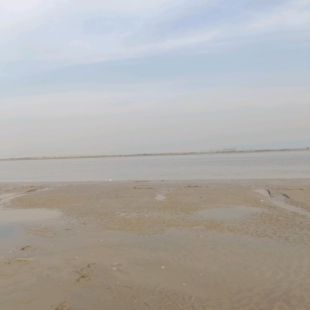 看清事实放下过去