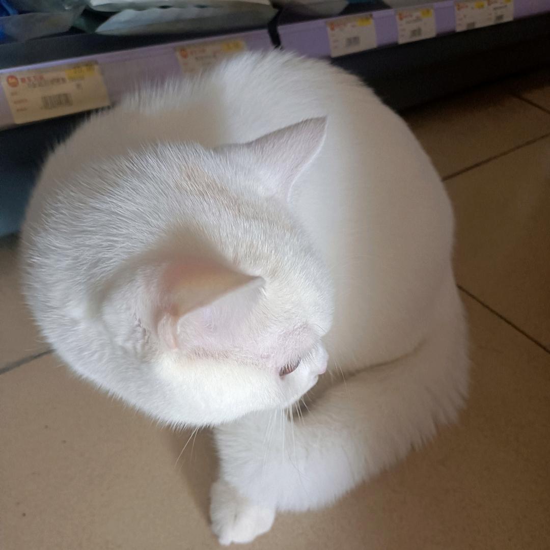 晴天