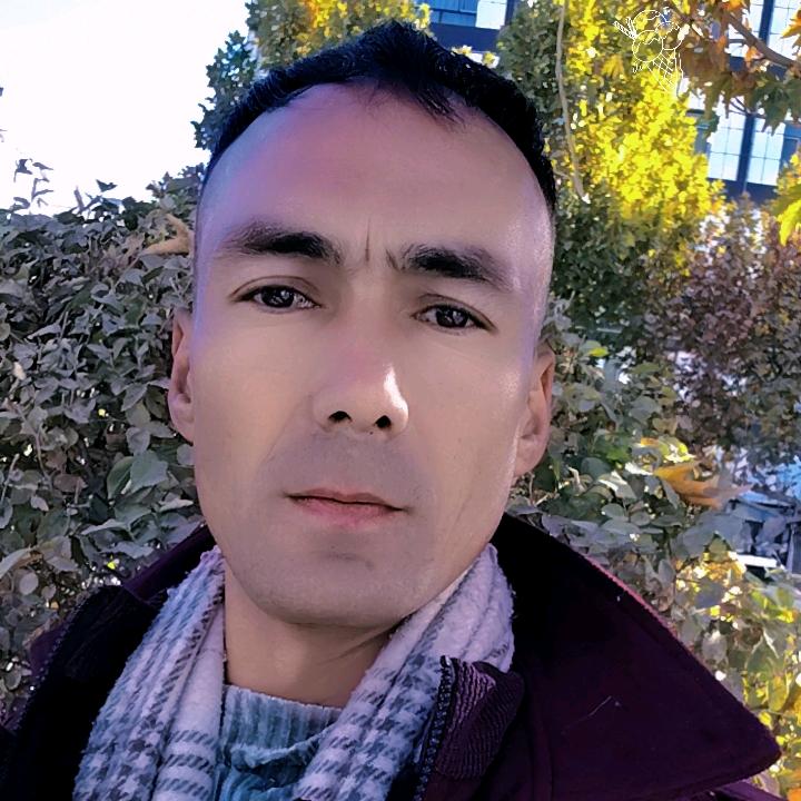 单身askar