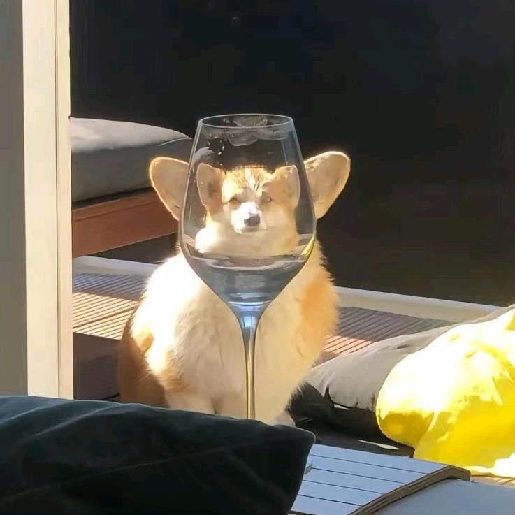 知还❀