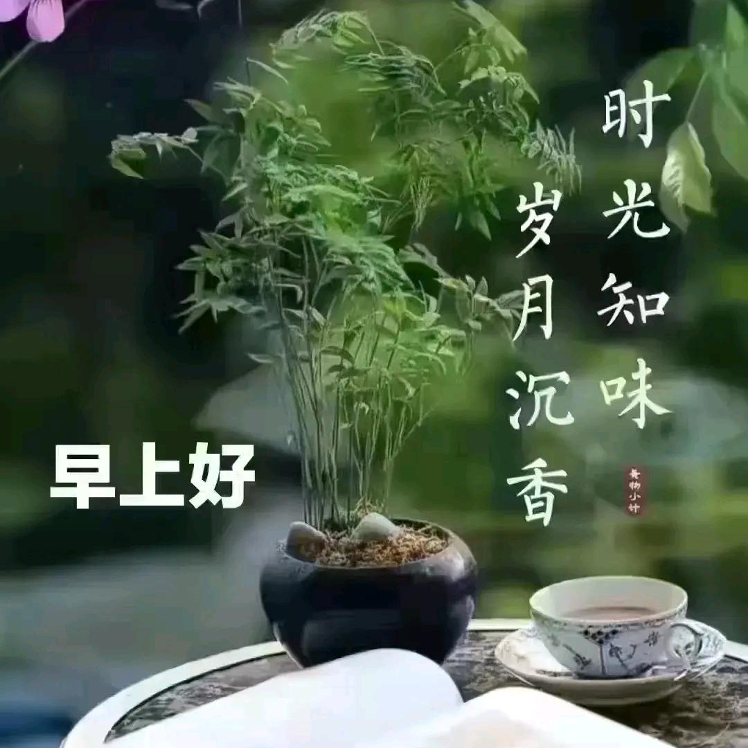 人间仙境