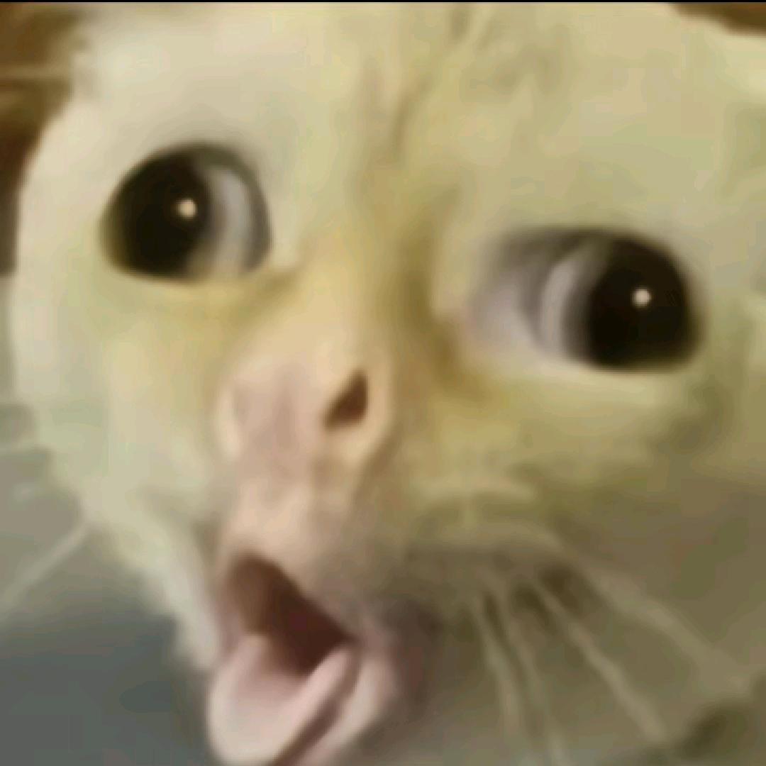 ᶻᶻᶻᶻᶻᶻᶻᶻᶻᶻᶻᶻᶻᶻᶻᶻᶻᶻᶻᶻ