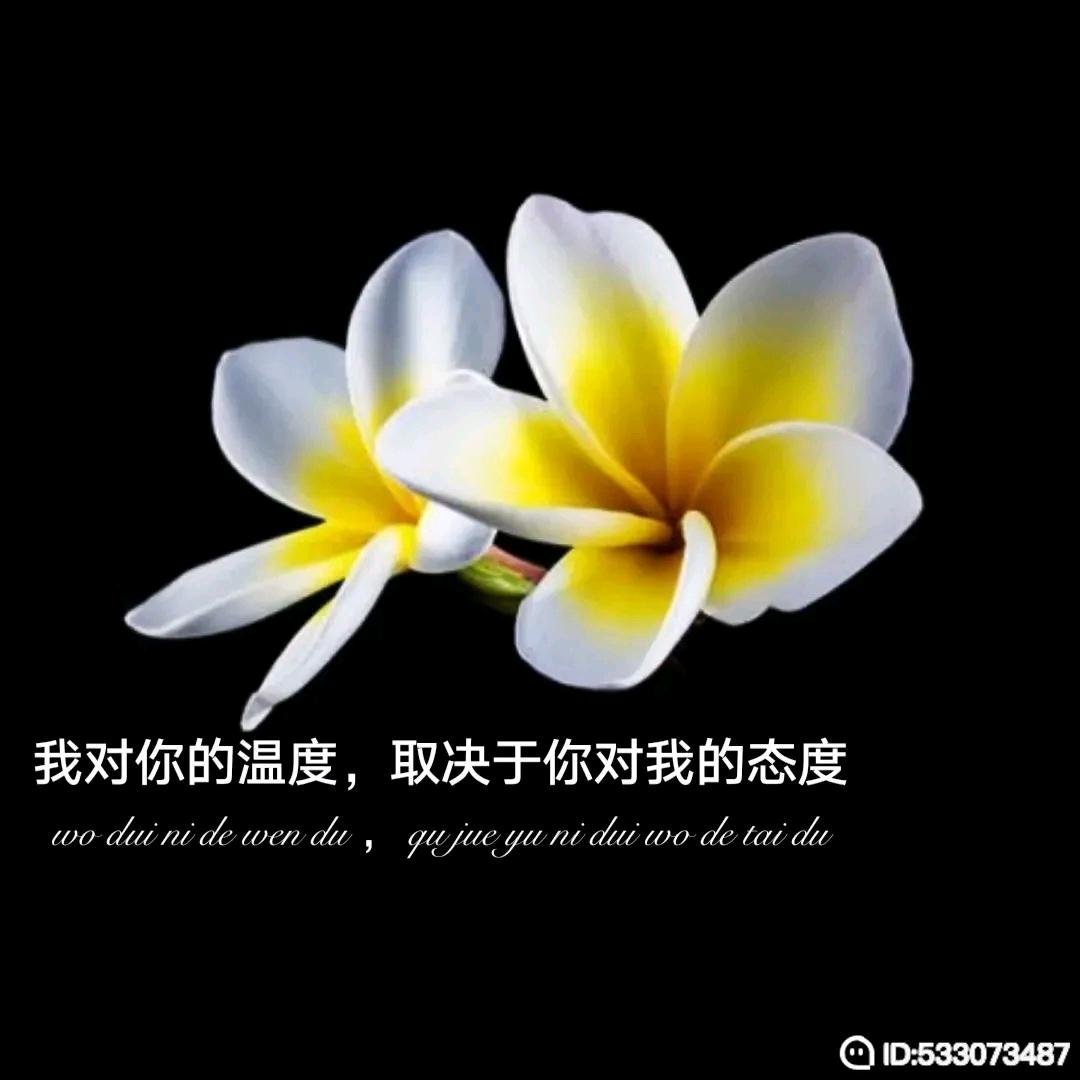 勇往直前，坚持到底