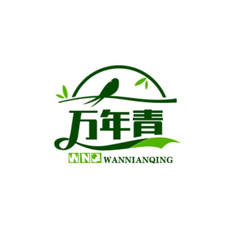 杰哥带你吃喝玩乐