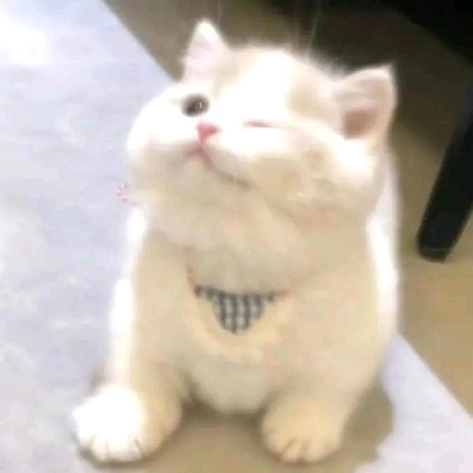 发光土豆
