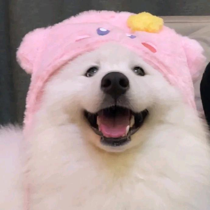 好听的网名