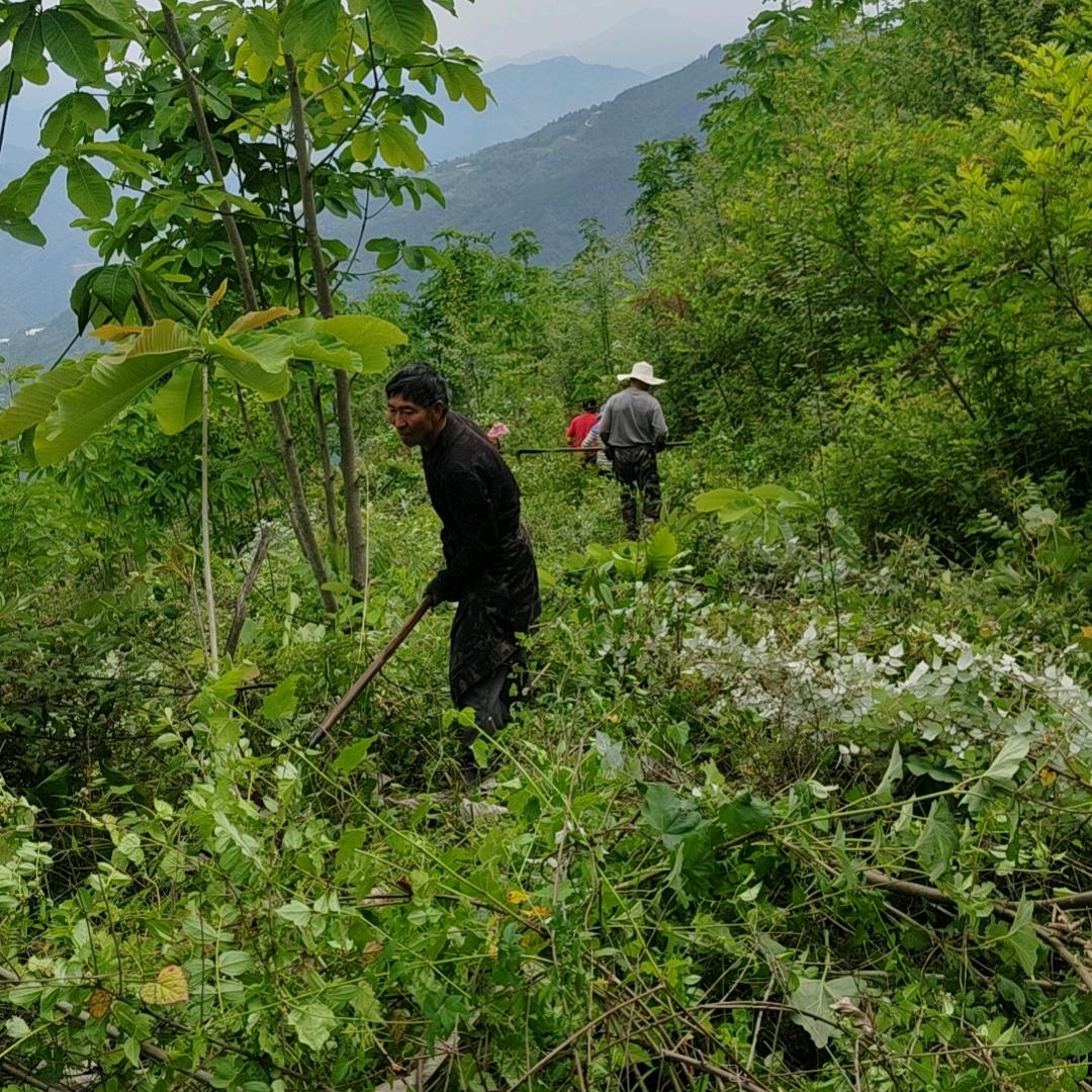 云上小栖