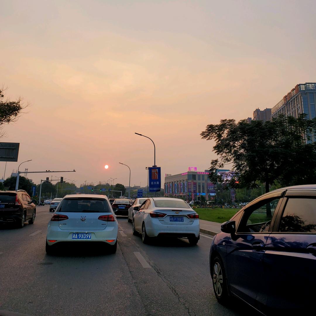 小青蛙🐸🐸🐸