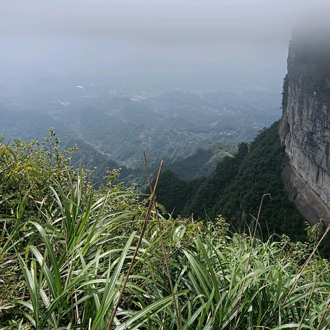 农村阿哥