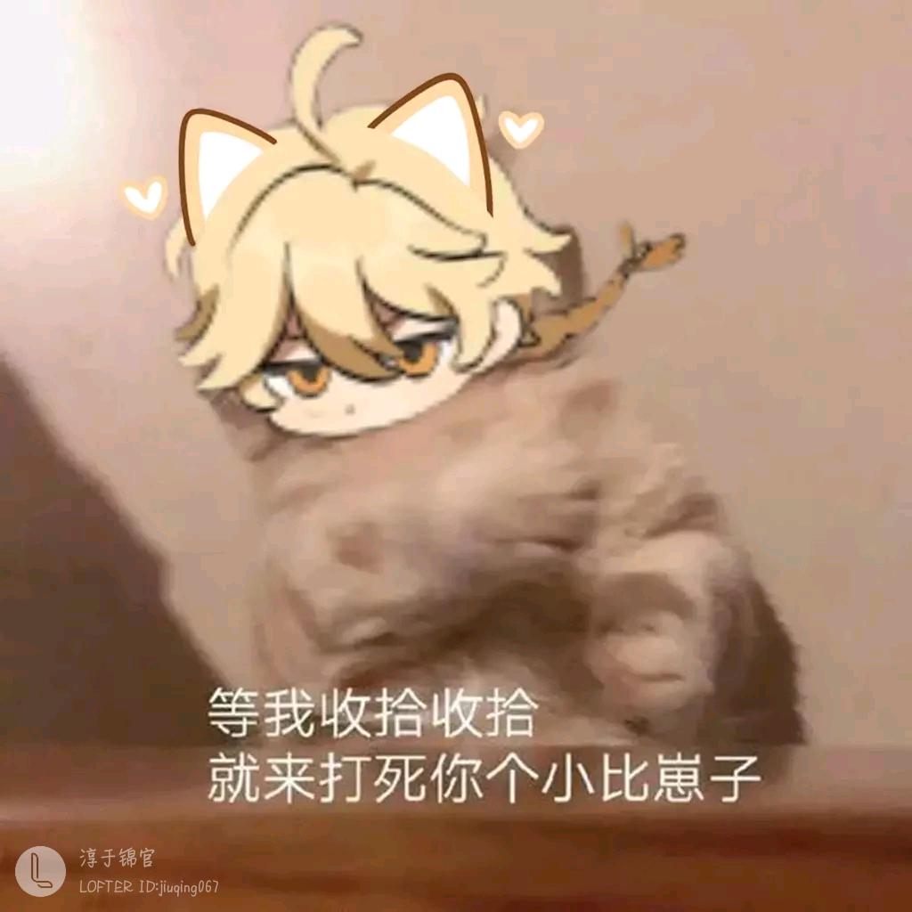 猫猫不打人
