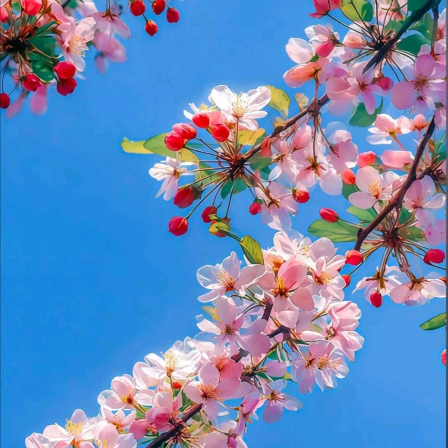 路姐，早7/30开播