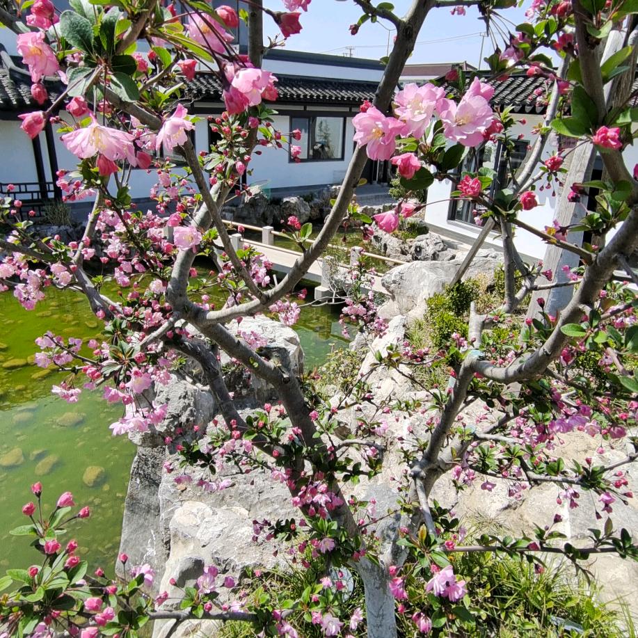 再创辉煌💪💪💓💓