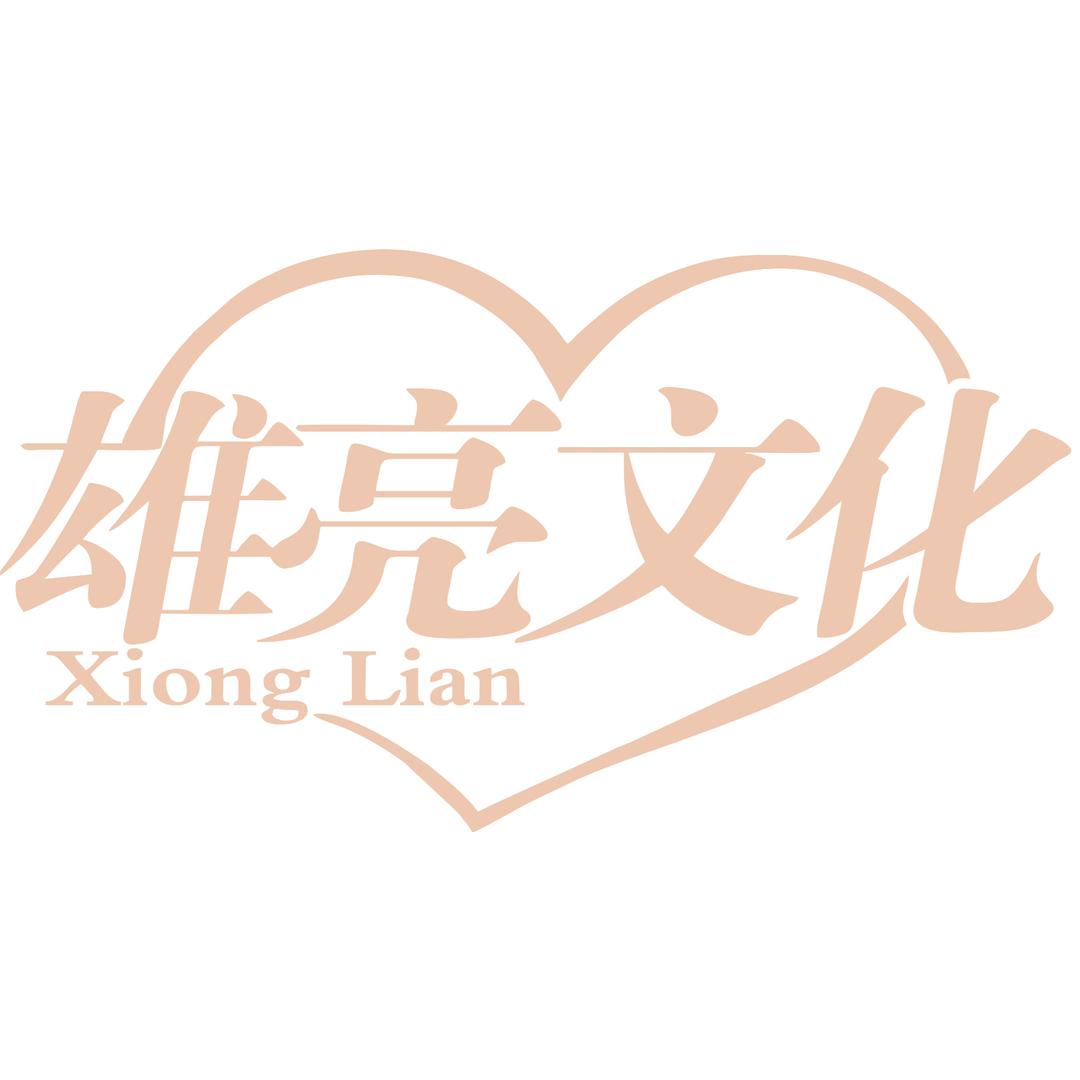 雄亮文化