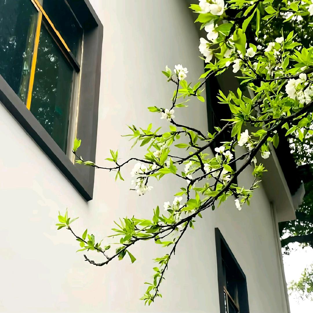 家政清洁王阿姨