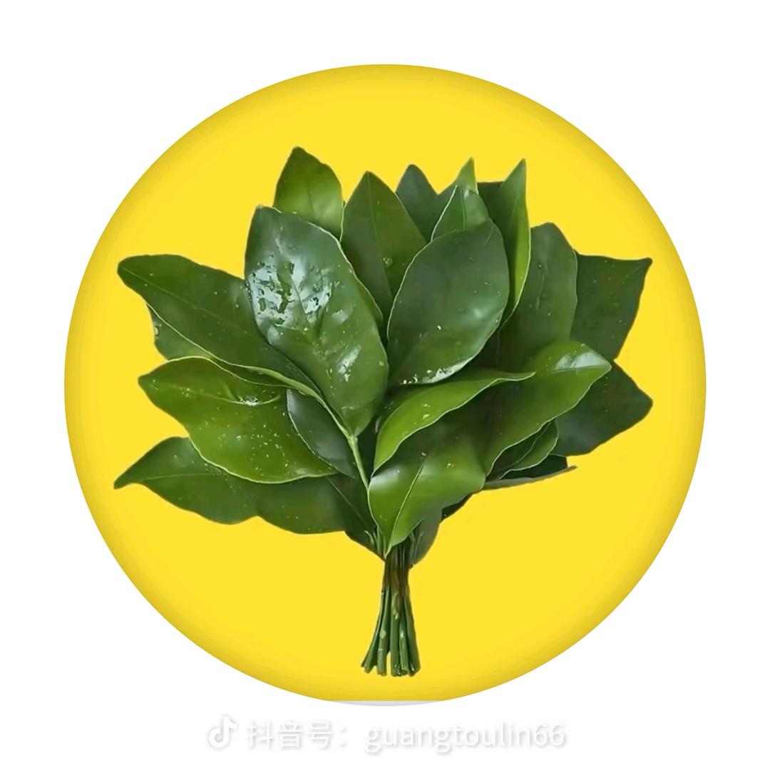 仰望时光