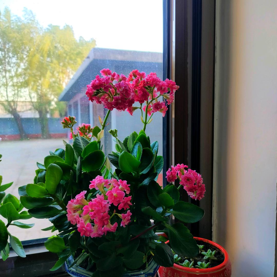 风雨过后是彩虹