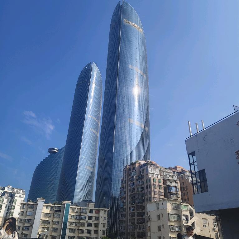 江西義门陳氏龙哥