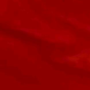 抖無，去粉色小电视找我