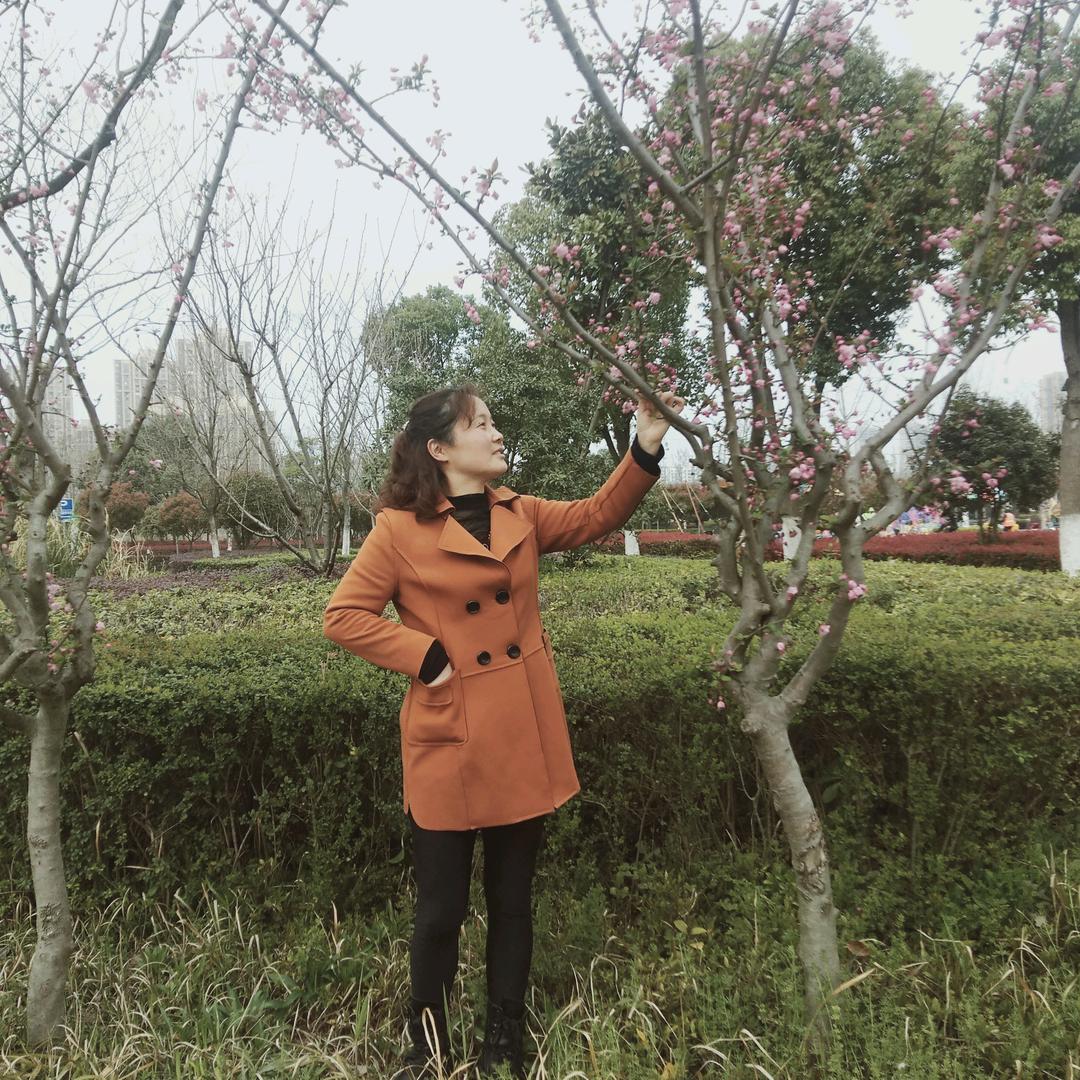 倪姐首播