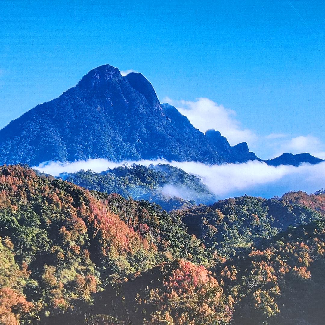 山翁