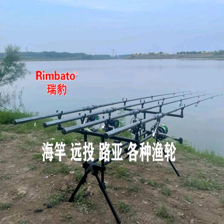 辉燕钓具欧式鲤钓