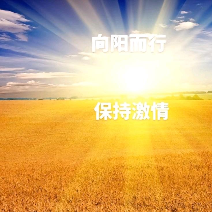 出初茅庐