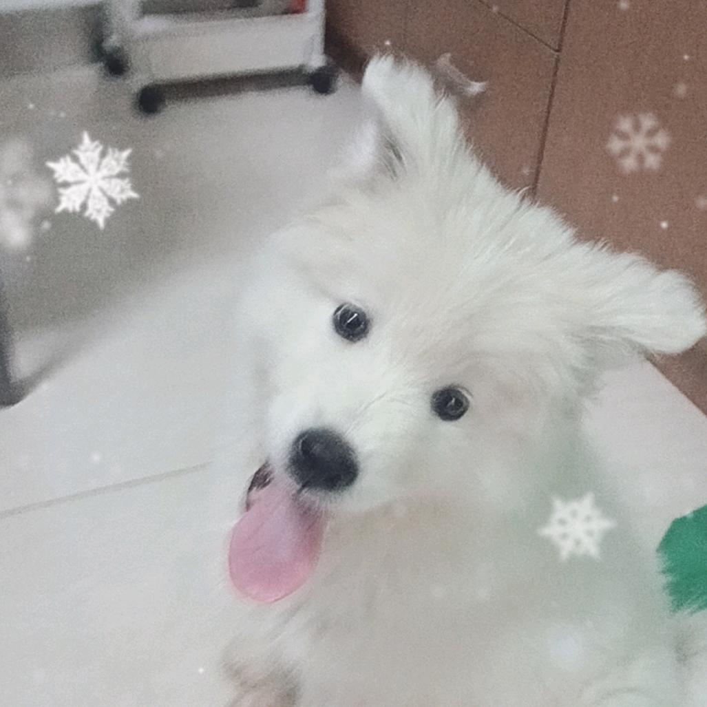 这是个厂长串烧店的号