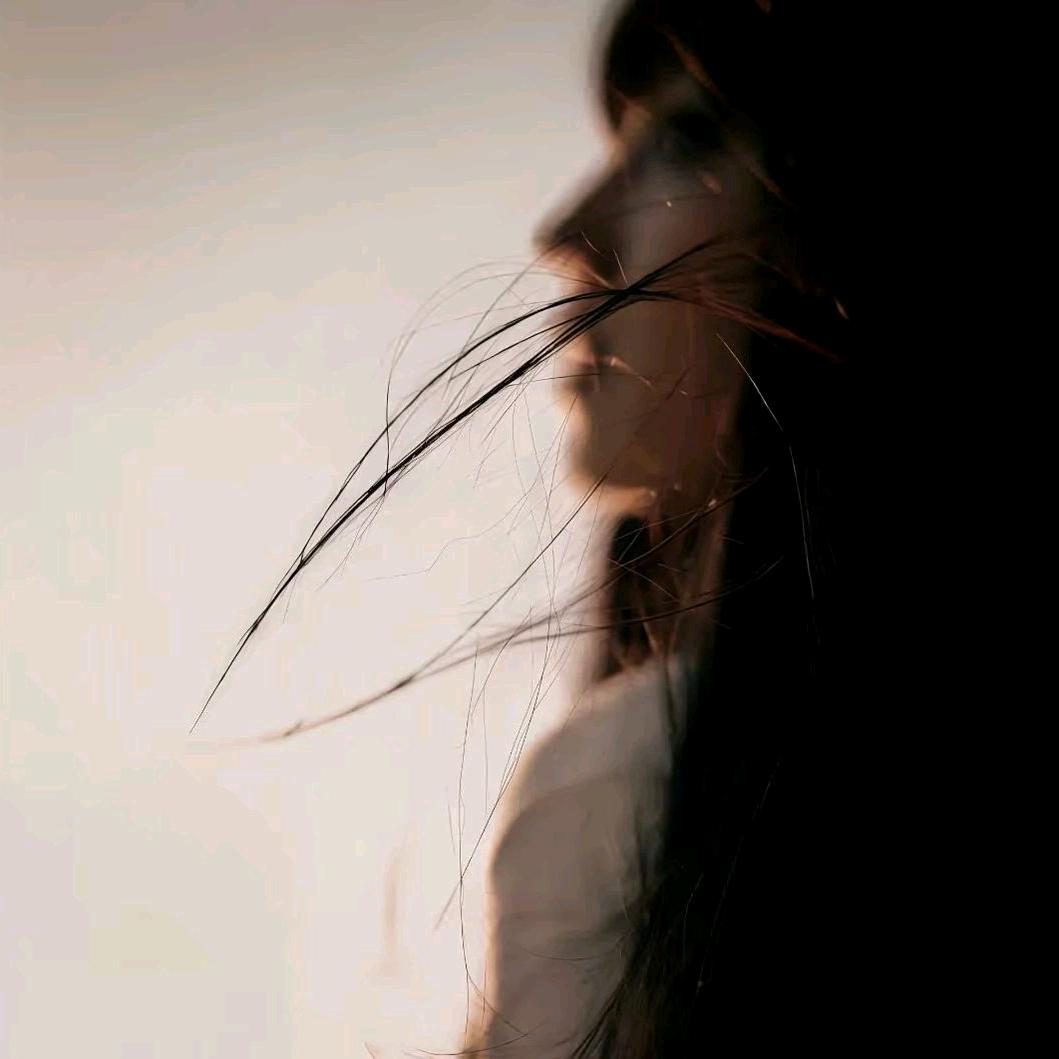 猫猫.