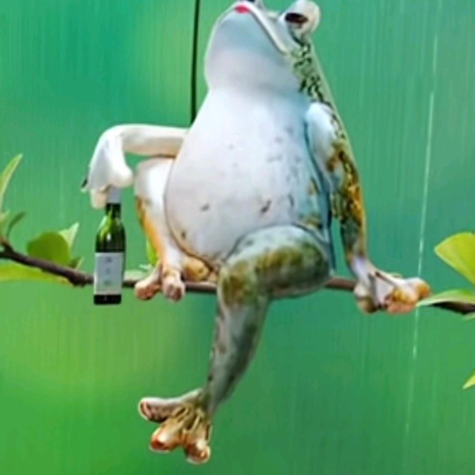 曾经记得