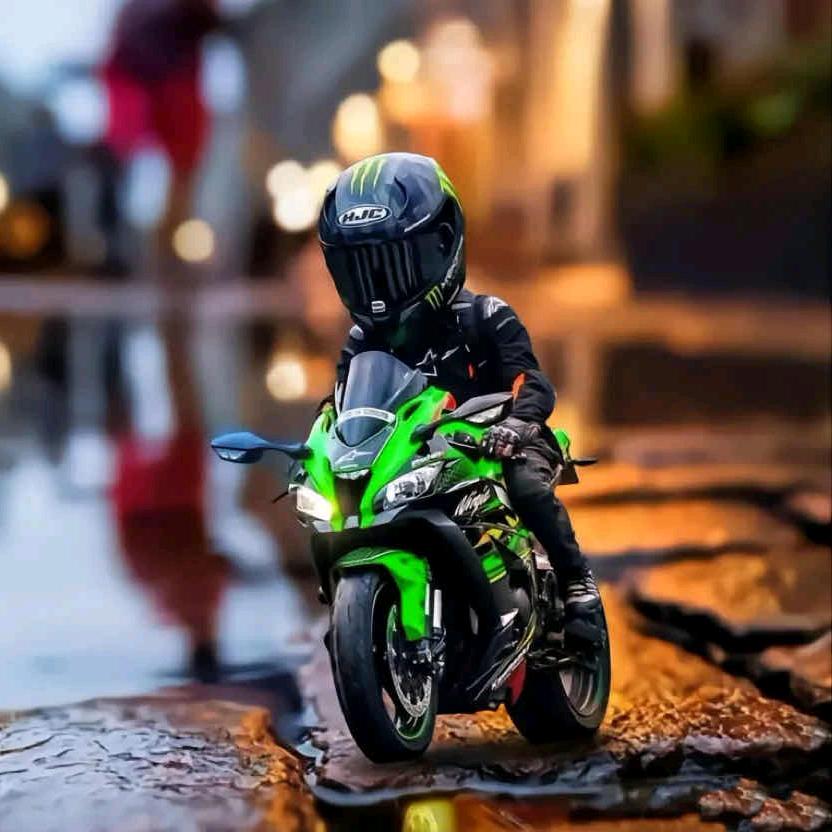 一只鱼 🏍