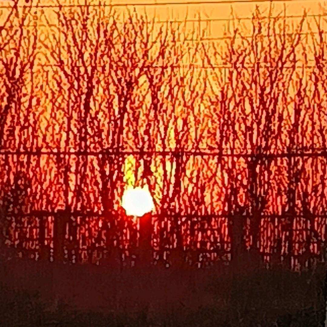 路过人生那片天