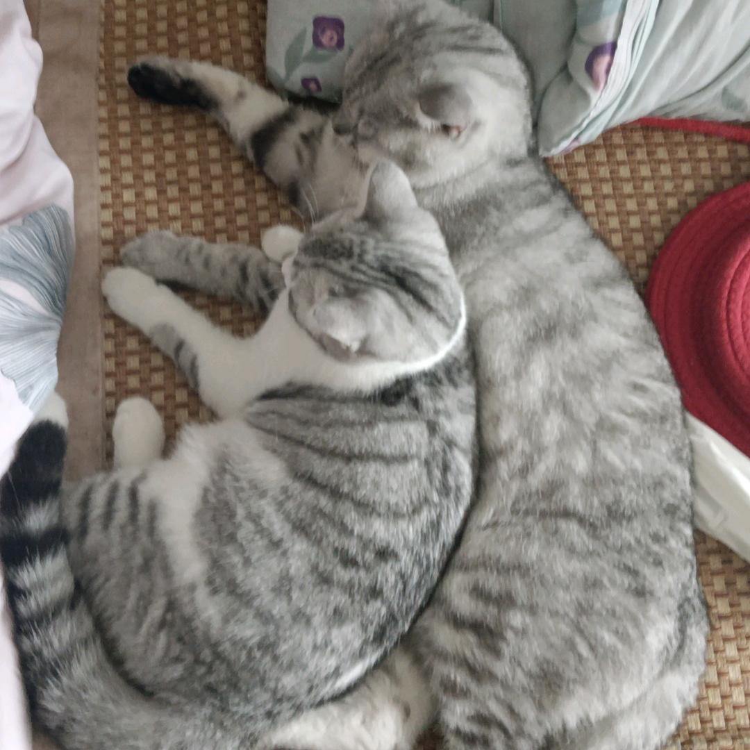小二游戏