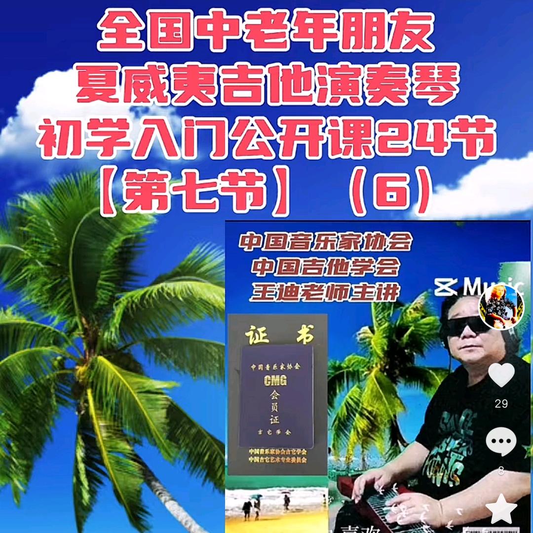 夏威夷吉他王迪