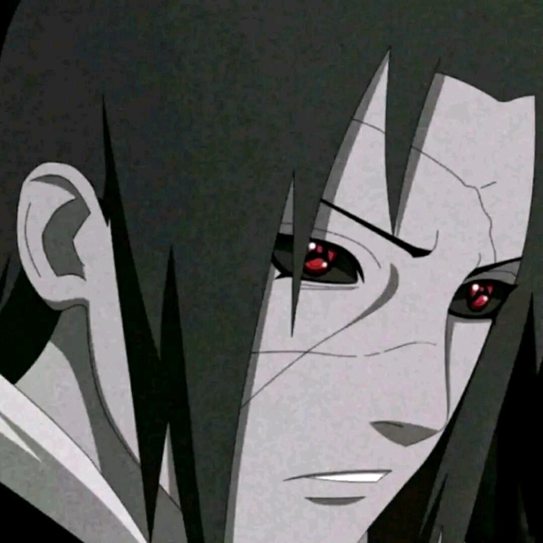 鼬神（义子🦆）@抖音