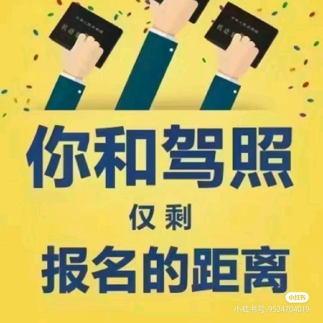 宏盛总校+王教练