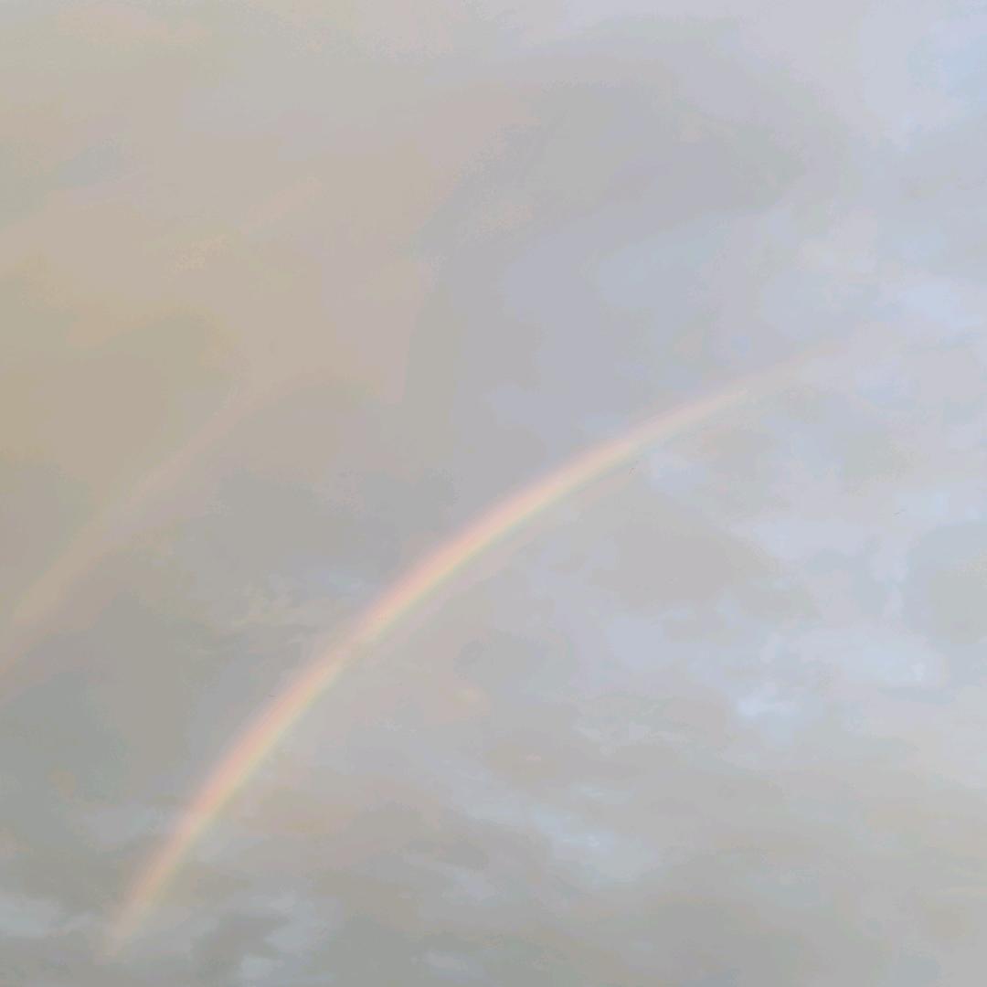 小旻