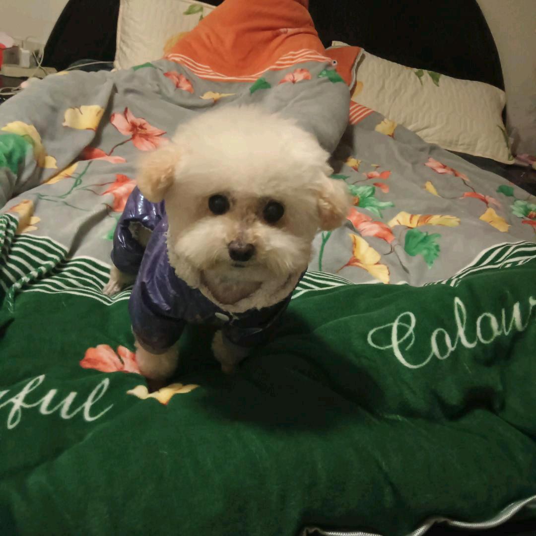 伤了心的女人！拒绝私聊