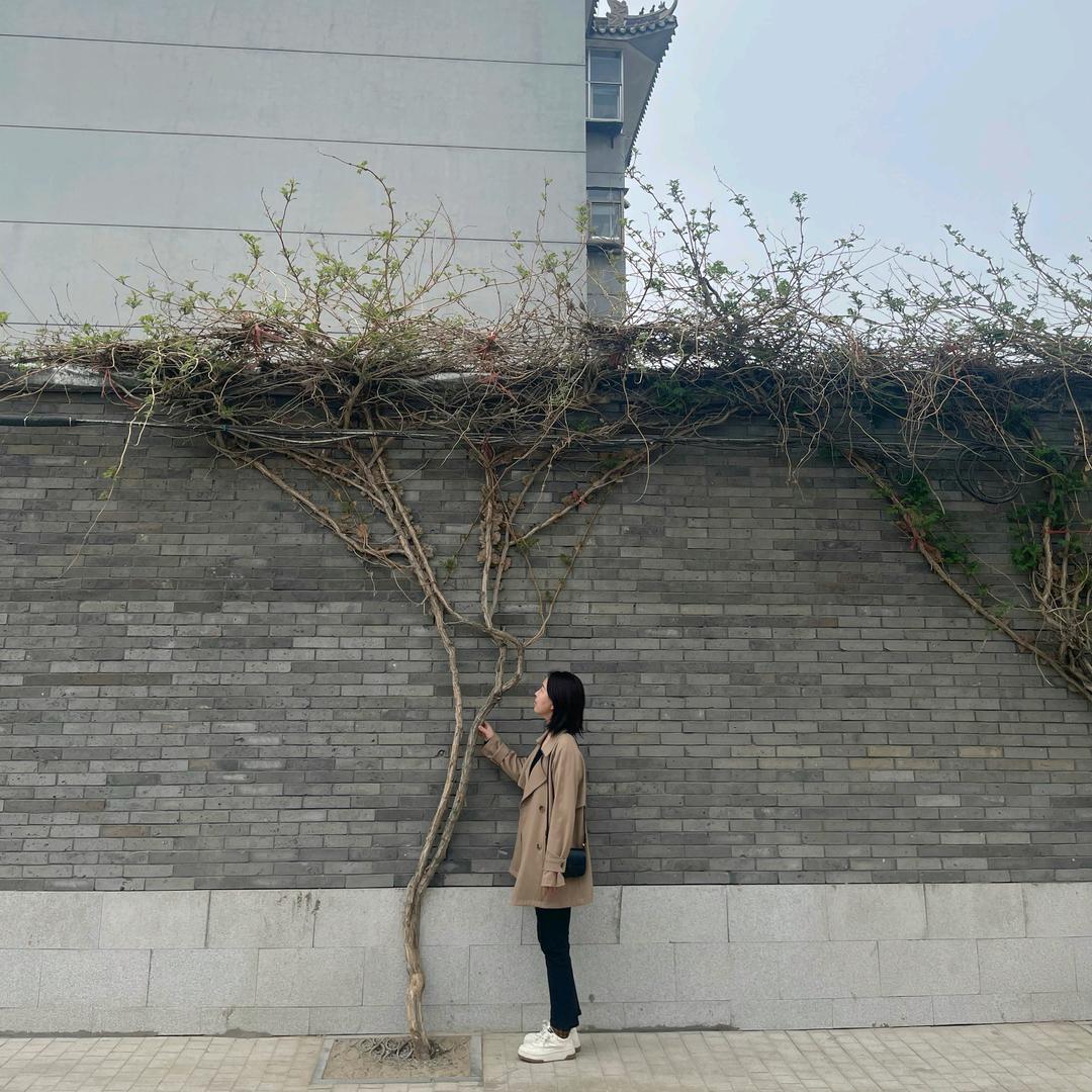 绝世毒妃吴小满头像
