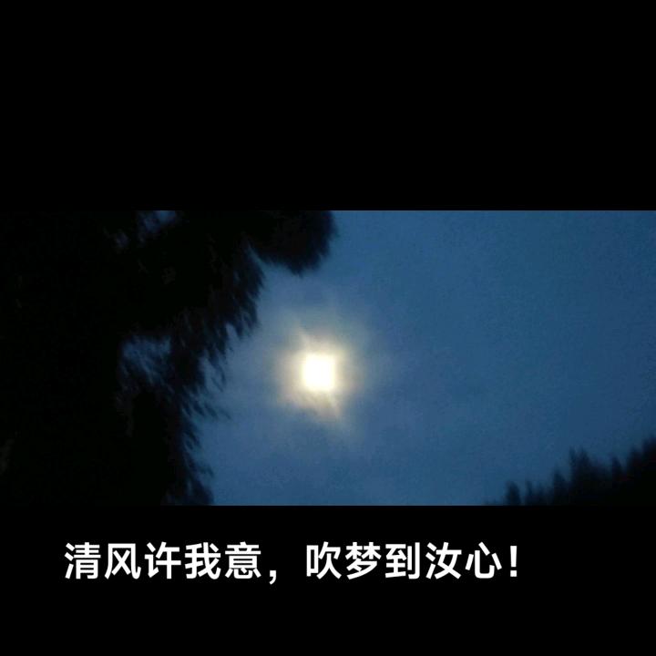 我的月亮永悬不落