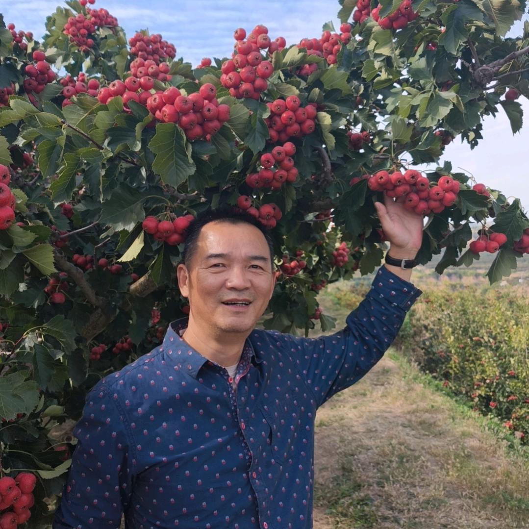 功名落成