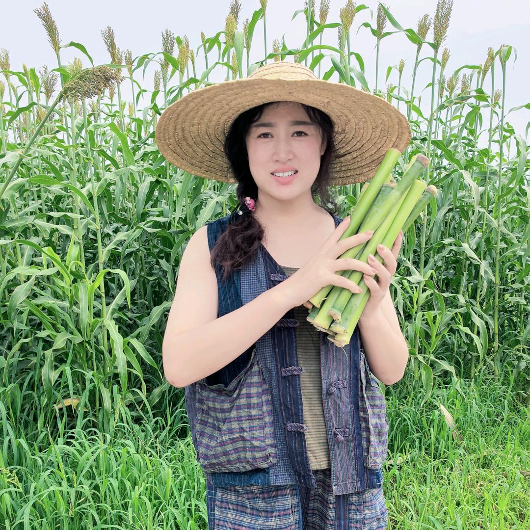 东北老贺千亩甜杆种植基地