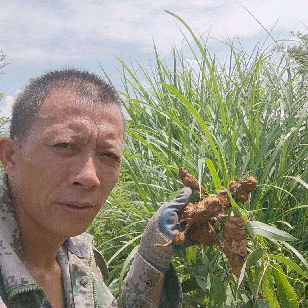 户外陈哥