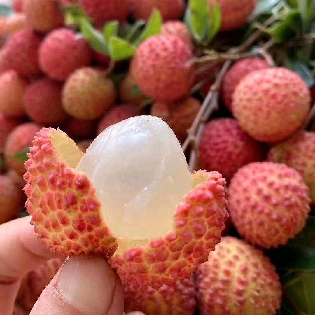 甜过初恋の小荔枝