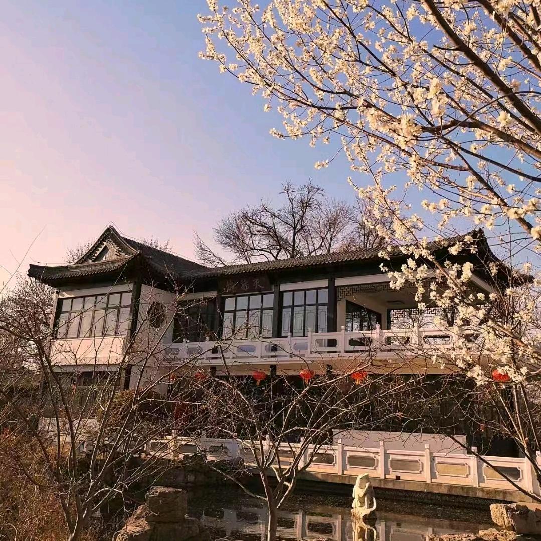 众泰发艺：静海瑞祥道-众泰欣苑小区斜对面