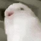 :)^不同.º¹²³™